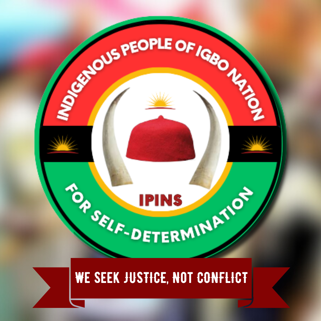 IPINS Logo