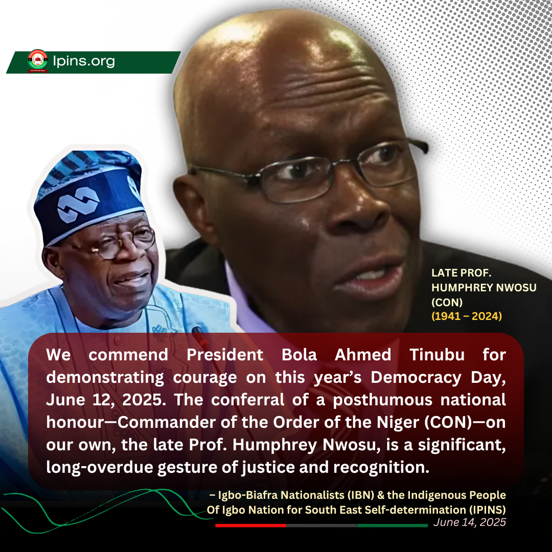 Late Prof. Nwosu Finally Recognized as Democracy Hero